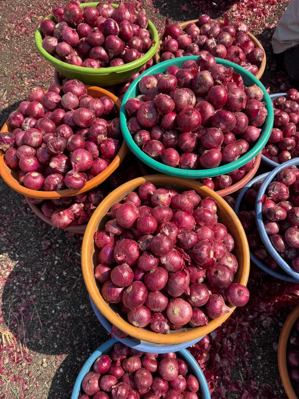 Fresh Red Onion